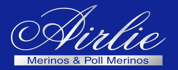 Blue background logo with white text that says: Airlie Merinos & Poll Merinos